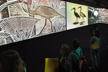 In Piemonte boom di visitatori per il ponte del 2 giugno