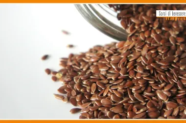 Sorsi di Benessere - I semi di lino