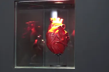 L'arte di Jago all'aeroporto di Fiumicino con "Apparato circolatorio"