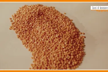 Sorsi di Benessere - L'insalata di lenticchie