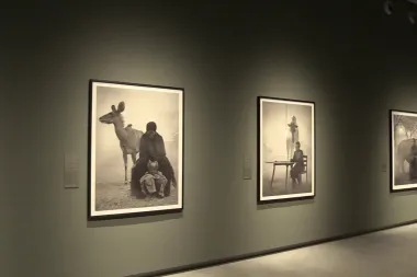 Torino, mostra "Nick Brandt" alle Gallerie d'Italia di Intesa Sanpaolo