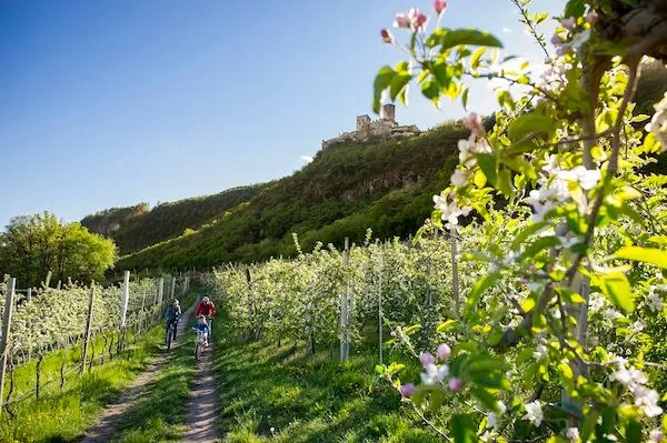 Appiano Primavera IDM Alto Adige Alto Adige Alex Filz