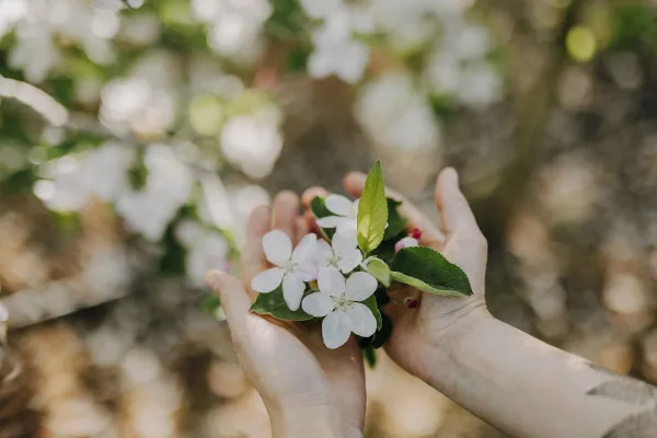 Lana Associazione Turistica Lana Maike Wittreck