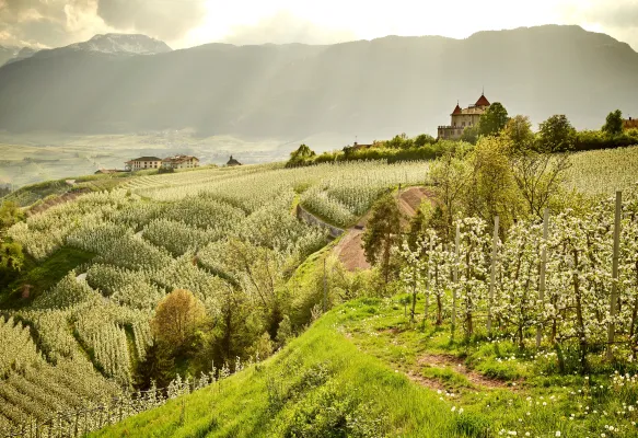 Val di Non meleti ph Carlo Baroni