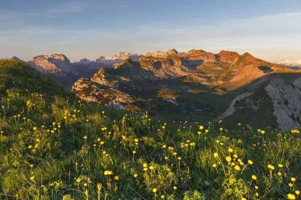 Val Di Non Monte Peller botton d'oro - foto Alessandro Gruzza