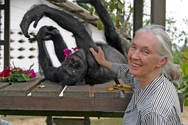 Jane Goodall - Ansa