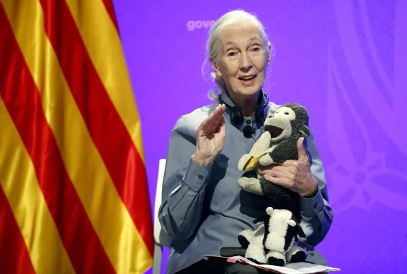 Jane Goodall - Ansa
