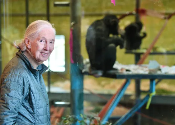 Jane Goodall - Ansa