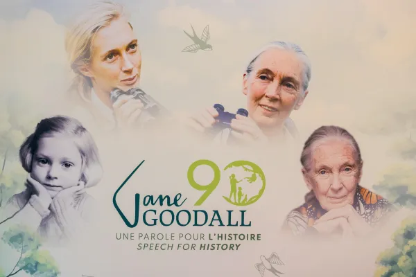 Jane Goodall - Ansa