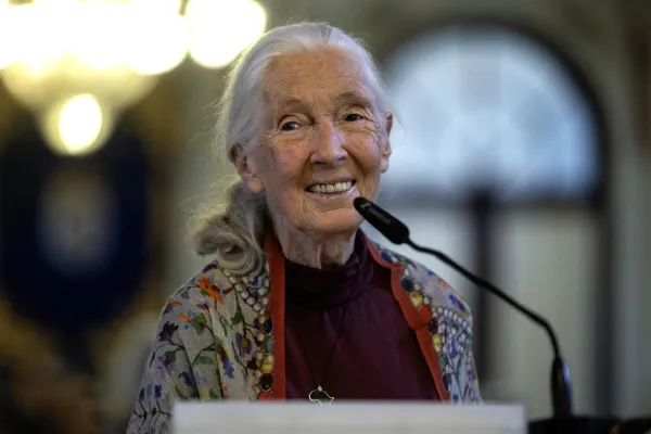 Jane Goodall - Ansa