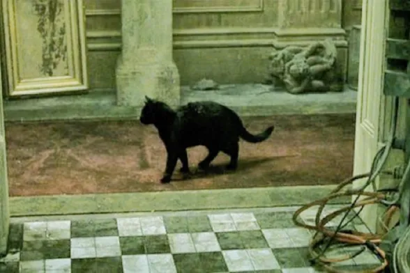 Il déjà vu del film The Matrix