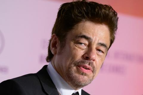 Cannes, Benicio del Toro al centro della “Trama fenicia” di Wes Anderson