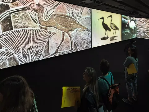 In Piemonte boom di visitatori per il ponte del 2 giugno