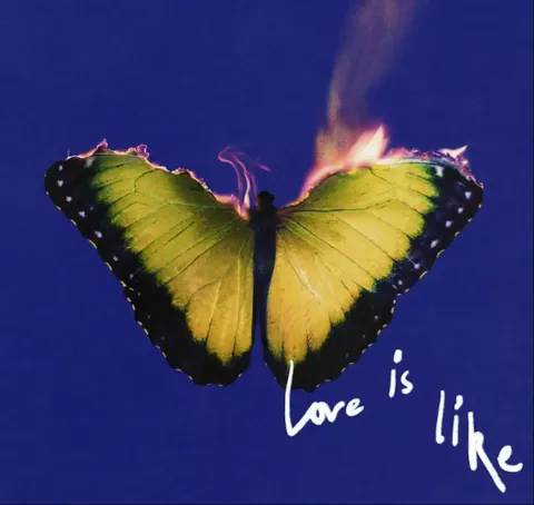 I Maroon 5 annunciano l’uscita del loro nuovo album “Love is Like”